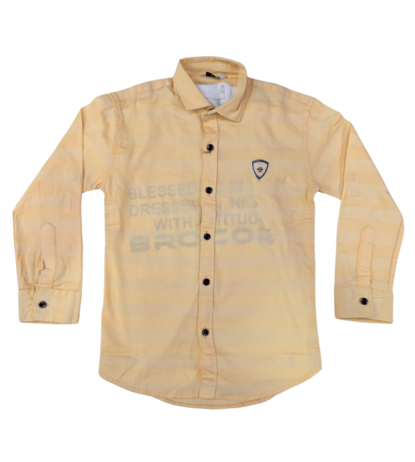 Light Yellow Colour Shirt with White Colour Detachable Tshirt as a combo