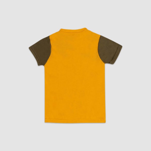 Casual Smart DailyWear Boy Tshirt-Shorts Set A - Image 4