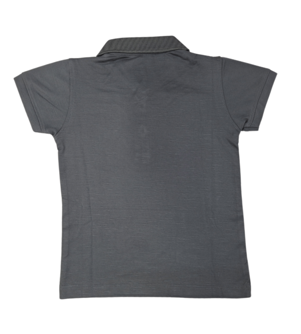 Casual Smart Tshirts For DailyWear A - Image 2