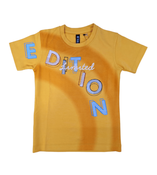 Casual Smart Tshirts For DailyWear O - Image 2