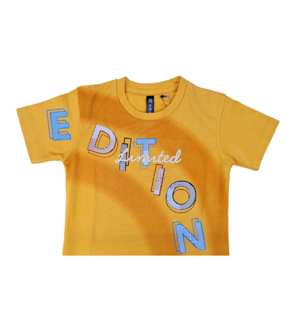 Casual Smart Tshirts For DailyWear O - Image 4