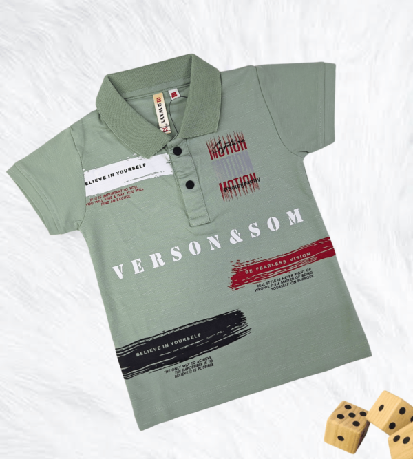 Casual Smart Tshirts For DailyWear R