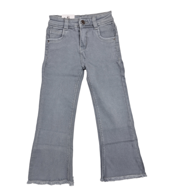 Denim Jeans For Smart Girls in Grey Color D - Image 2