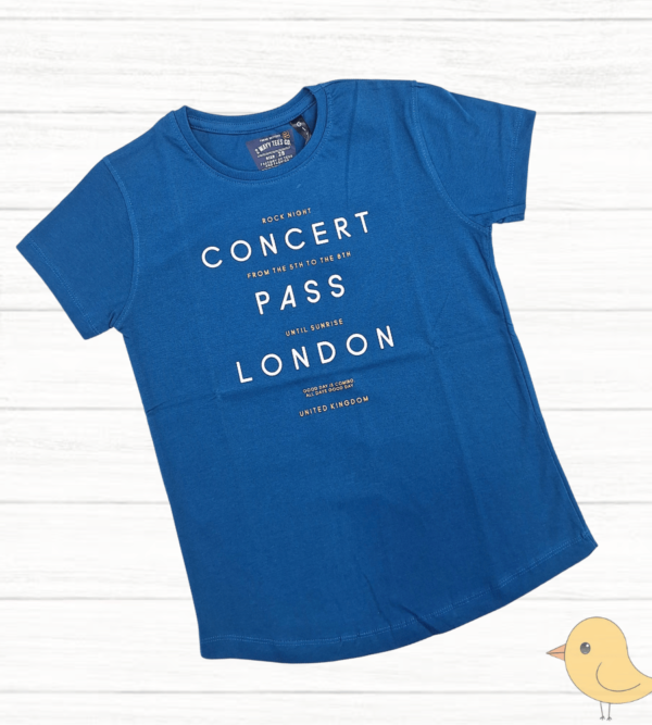 Dailywear Casual T-Shirt For Girls H
