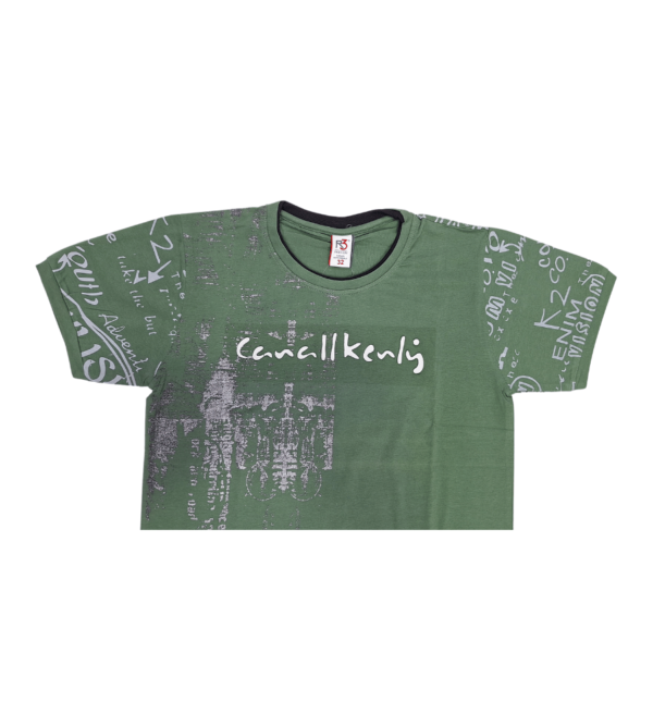 Premium Smart PartyWear Tshirt For Boys AY - Image 4