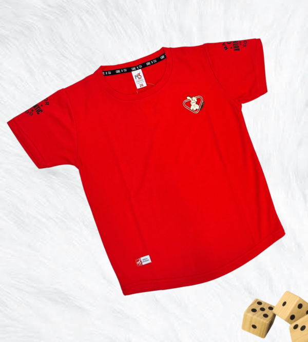 Tshirt For Boys In Stunningly Smart Prints and Imported Fabric