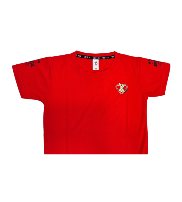 Premium Smart PartyWear Tshirt For Boys BD - Image 4