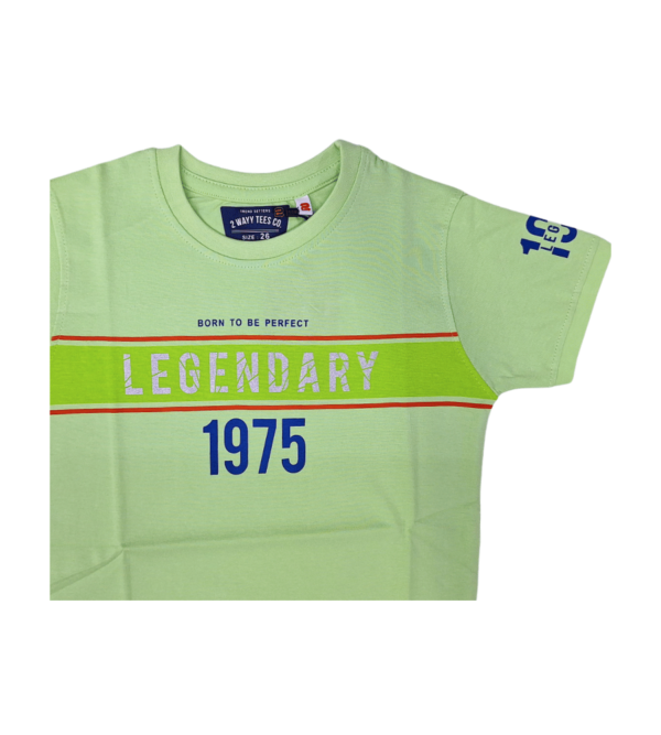 Casual EasyGo Tshirt For Boys BR - Image 3