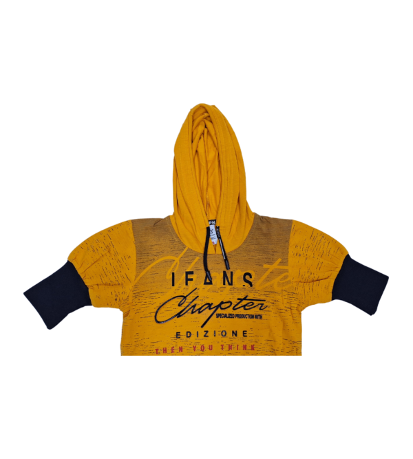 Premium Smart Hoodies for Boys A - Image 2
