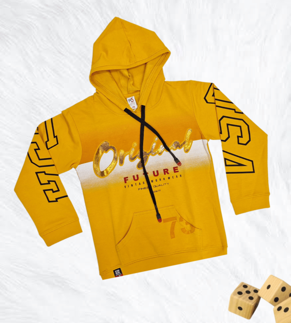 Premium Smart Hoodies for Boys