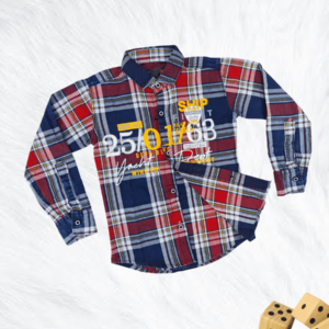 Premium Smart Shirt for Boys