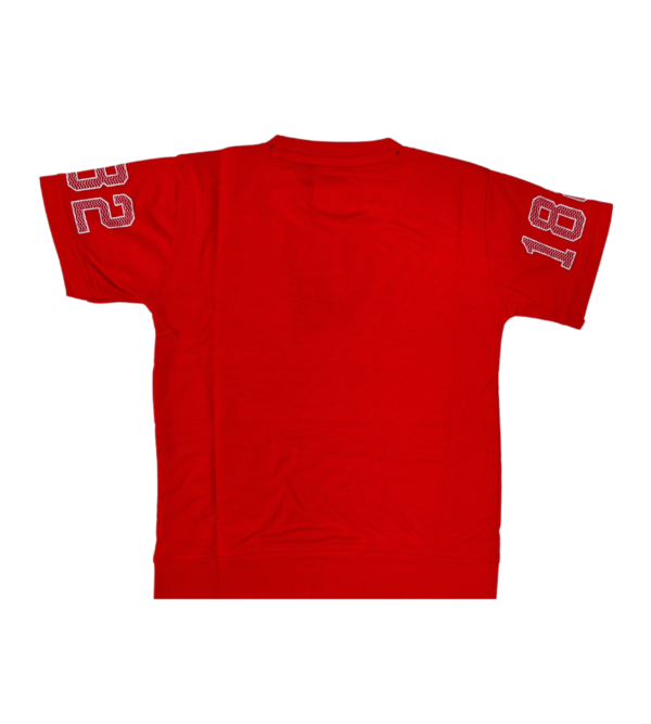 Smart EasyGo Tshirt for Boys DC - Image 4