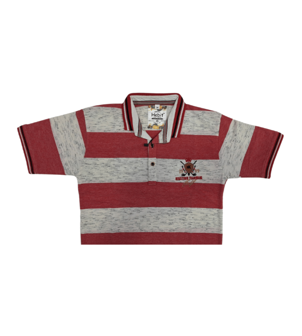 Premium Tshirt for Boys DE - Image 2