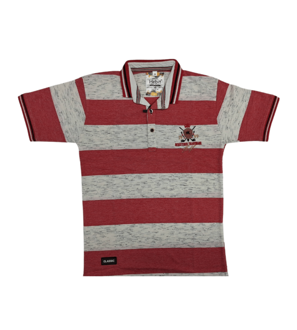 Premium Tshirt for Boys DE - Image 3