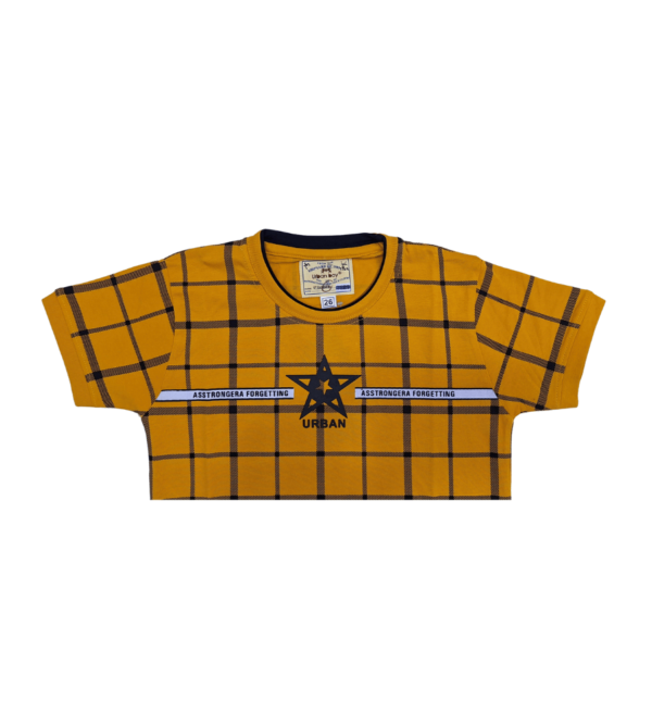 Premium Tshirt for Boys DK - Image 2