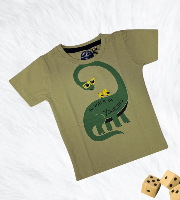 Smart EasyGo Tshirt for Boys CW