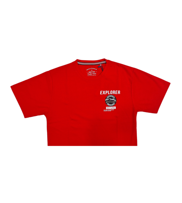 Casual Smart Back Print Tshirt For Boys CE - Image 2