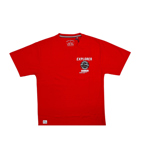 Casual Smart Back Print Tshirt For Boys CE - Image 3