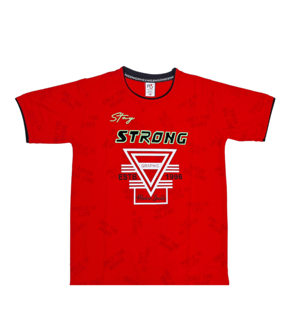 Premium Tshirt for Boys DL - Image 2