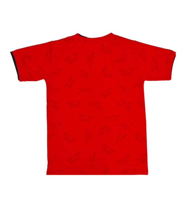 Premium Tshirt for Boys DL - Image 3