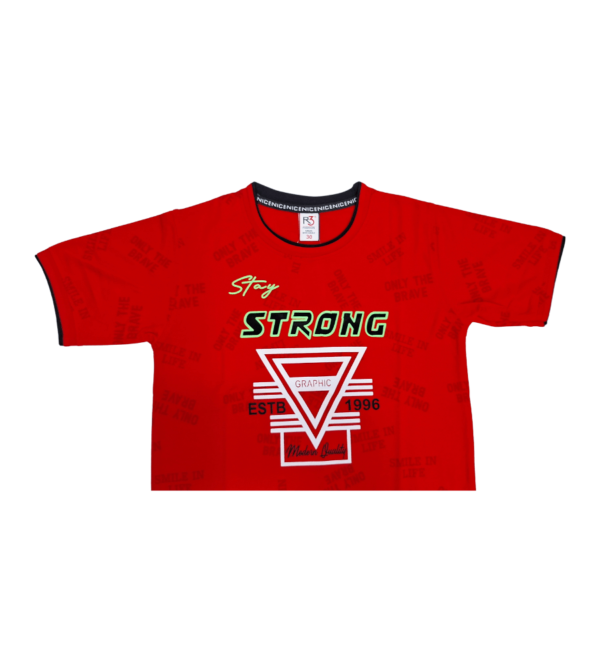 Premium Tshirt for Boys DL - Image 4