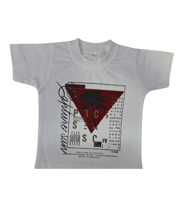Smart Premium Sets In Maroon for Boys C - Image 4