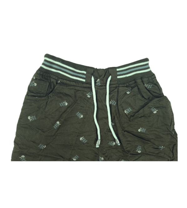 Stylish & Comfy Summer Essentials Boy’s Cotton Shorts In Green I - Image 2