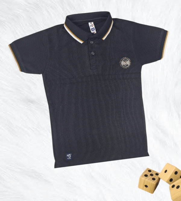 Premium Tshirt for Boys