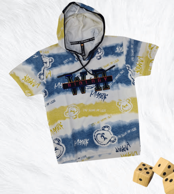 Premium Hoodie For Boys