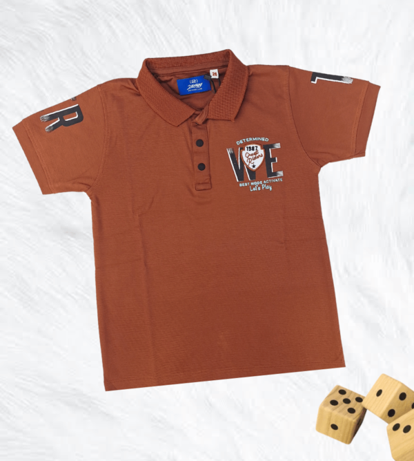 Casual Smart Tshirt for Boys