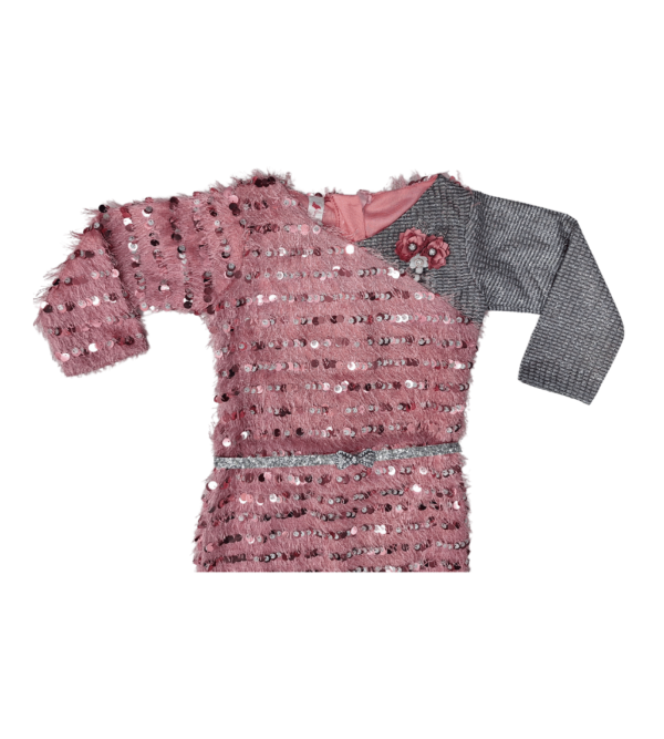 Premium Dresses for Girls Z - Image 2
