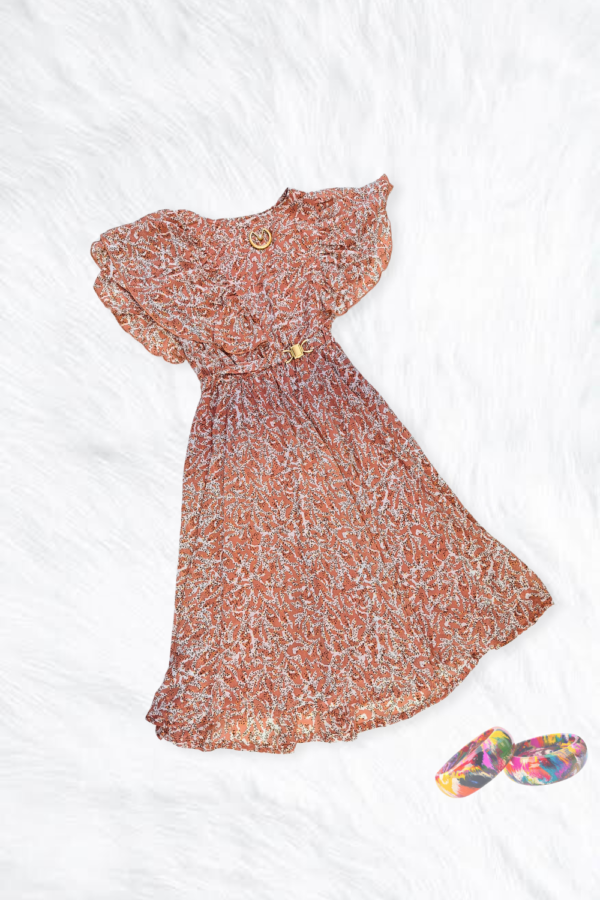 Brown Frock